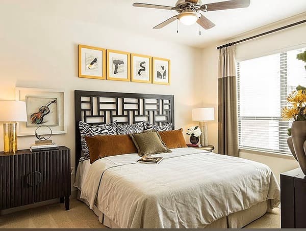 Rice/TMC 附近1b1b 公寓转租 26年三月中到八月底